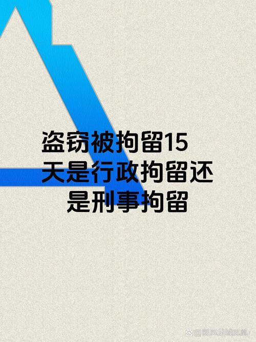 日本皇室费用监管漏洞揭秘，侍从盗用一年多，责任追究与深度剖析