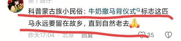 第一章,离别的序曲蒙古马被卖后独自跋涉300里跑回家