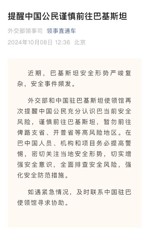 一、新禁令的背景与动因重大政策转变 巴基斯坦宣布新禁令