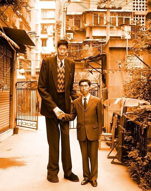 青年才俊曾俊欣多元发展