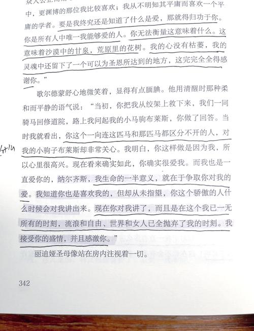 艾纳斯与伊蒂哈德,一场深度的文化碰撞艾納斯 對 伊蒂哈德