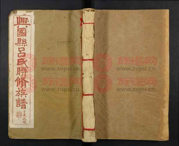 联鈞,深度解析与批判聯鈞