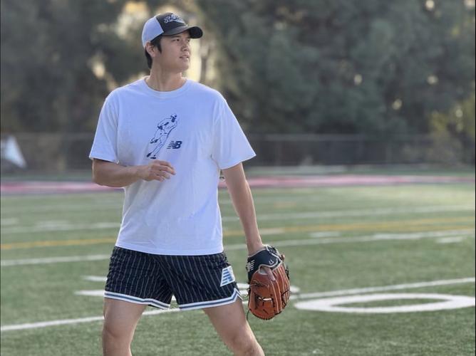 大谷翔平,一位卓越的科学家与学者大谷翔平