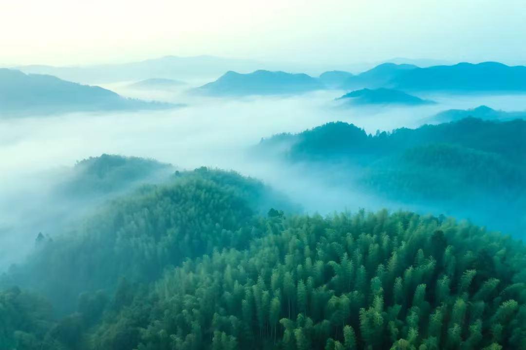 川竹戰略轉型：興業銀行綠色金融妙筆繪就四川雙碳藍圖，青神竹編復興