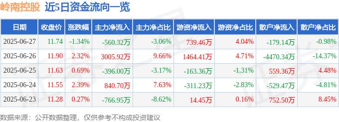 嶺南控股股海沉浮：資金暗湧、風險如UFC，散戶的星期五晚上狂想曲
