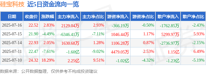 矽寶科技股價與基本面解析：資金流向、營收成長與投資策略