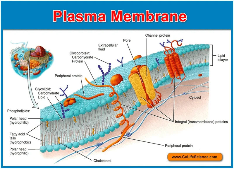 The Plasma Revolution: How We're Solving Carbon Emissions and Cleaning Our Skies