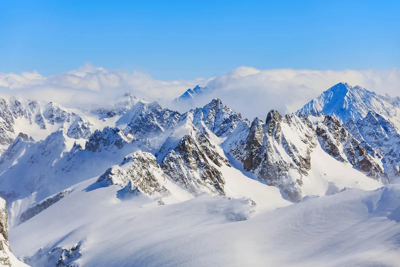 The Snowflake Signal: Why Wall Street's Bullish Call is About More Than Just Stock Prices