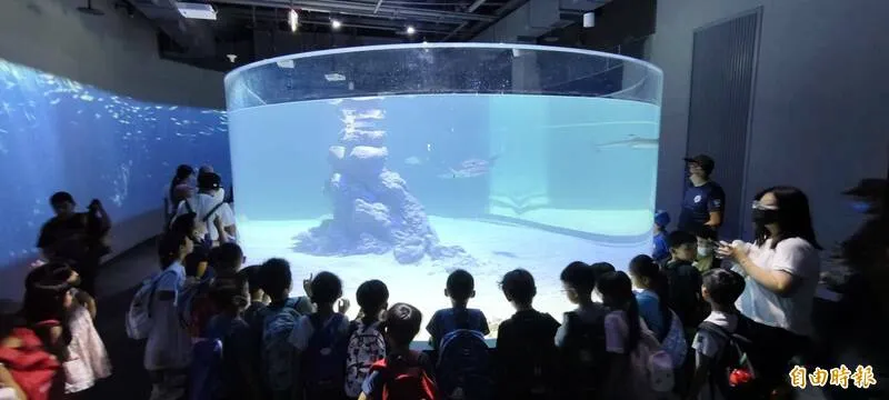 台中海洋館 全台首座室內人工濕地及企鵝展缸亮相,開幕首日驚見血