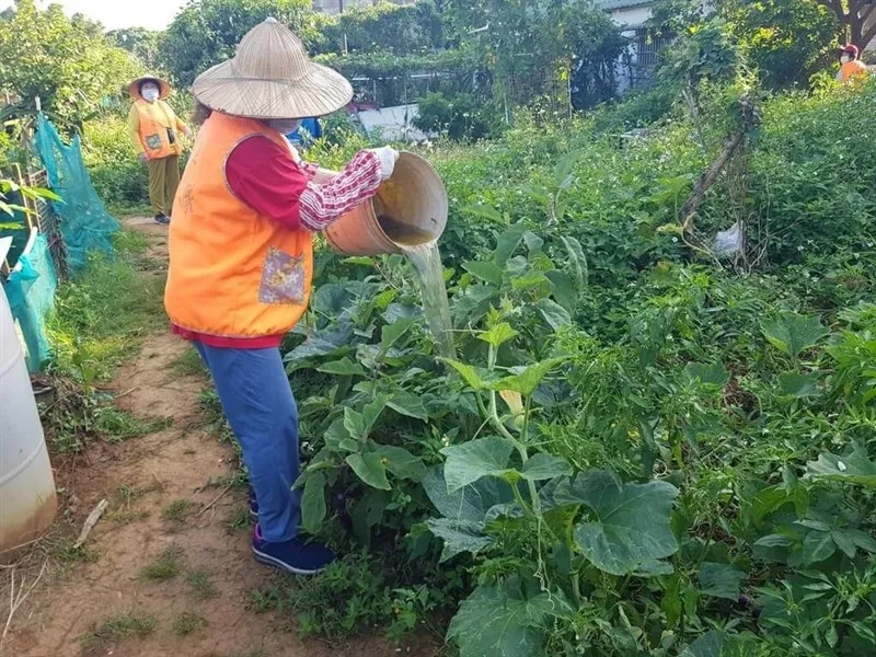 屈公病 症狀與防治方法，疾管署急澄清不會人傳人